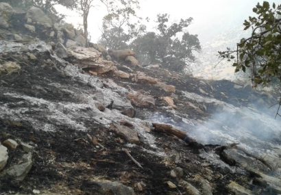 آتش‌سوزی در ارتفاعات شهرستان دزپارت