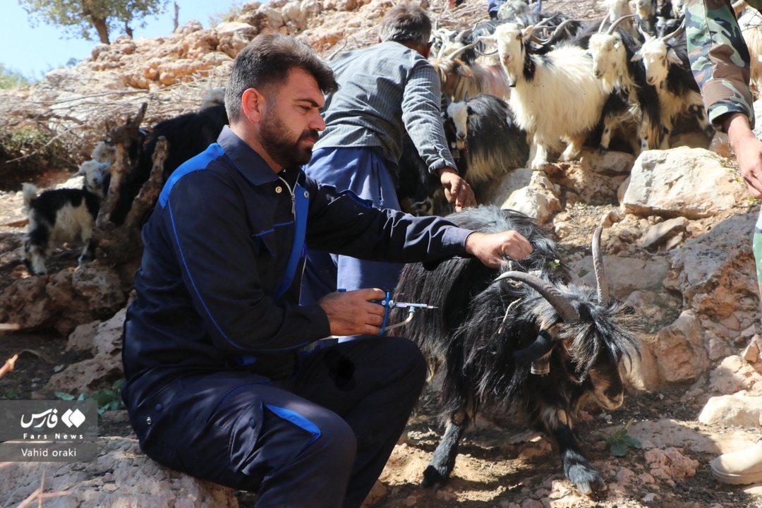 اهالی روستای پَلُم در سوسن شرقی شهرستان ایذه از داشتن تمام امکانات اولیه از جمله آب آشامیدنی، برق، گاز، خانه بهداشت، آنتن‌دهی موبایل و جاده محروم بوده و نیازمند توجه جدی مسئولان جهت رفع آن هستند. این در حالیست که در ایام مختلف سال، گروه‌های مختلف در قالب تیم‌های جهادی جهت رسیدگی به برخی از نیازهای آنها در منطقه حضور پیدا می‌کنند و خدمات اولیه‌ای به آنها ارائه می‌دهند. عکاس: وحید اورکی | photo by: vahid oraki