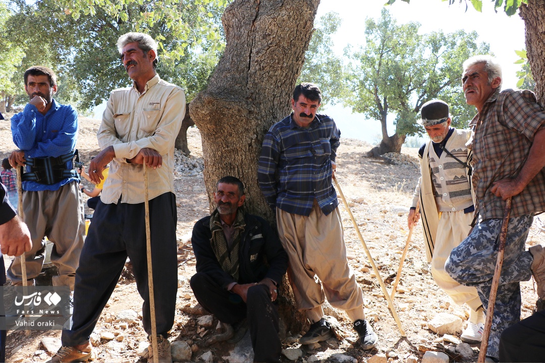 اهالی روستای پَلُم در سوسن شرقی شهرستان ایذه از داشتن تمام امکانات اولیه از جمله آب آشامیدنی، برق، گاز، خانه بهداشت، آنتن‌دهی موبایل و جاده محروم بوده و نیازمند توجه جدی مسئولان جهت رفع آن هستند. این در حالیست که در ایام مختلف سال، گروه‌های مختلف در قالب تیم‌های جهادی جهت رسیدگی به برخی از نیازهای آنها در منطقه حضور پیدا می‌کنند و خدمات اولیه‌ای به آنها ارائه می‌دهند.