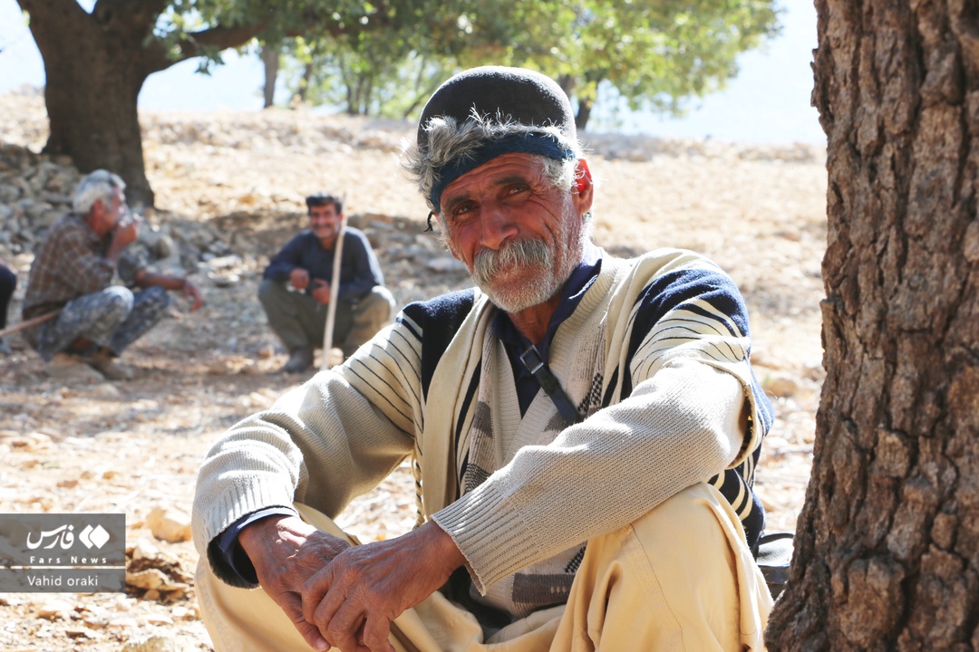 اهالی روستای پَلُم در سوسن شرقی شهرستان ایذه از داشتن تمام امکانات اولیه از جمله آب آشامیدنی، برق، گاز، خانه بهداشت، آنتن‌دهی موبایل و جاده محروم بوده و نیازمند توجه جدی مسئولان جهت رفع آن هستند. این در حالیست که در ایام مختلف سال، گروه‌های مختلف در قالب تیم‌های جهادی جهت رسیدگی به برخی از نیازهای آنها در منطقه حضور پیدا می‌کنند و خدمات اولیه‌ای به آنها ارائه می‌دهند.